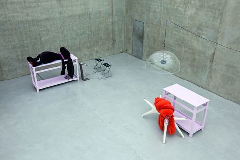 Cosima von Bonin | THE FATIGUE EMPIRE, 2010 KUNSTHAUS BREGENZ