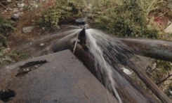 Felix - Urban Pastures Projekt 2 © © Felix von der Osten Felix von der Osten - Urban Pastures Projekt 2