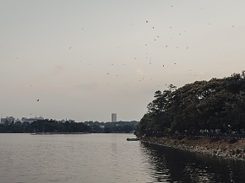 Felix - wunderbare Erinnerungen