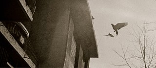 In Zeiten des abnehmenden Lichts