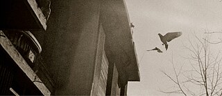 In Zeiten des abnehmenden Lichts