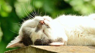 Kurzgeschichten  © © Pixabay Kurzgeschichten 