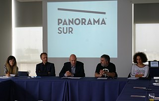 Panorama Sur 2011.