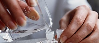 Wissenschaftler am Werk