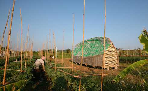 Projekt Bottle Sail | Do San | 1+1>2 International Architecture ASC
