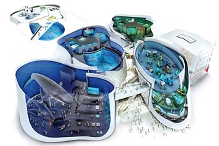 The Ozeaneum in Stralsund | Exhibition Concept