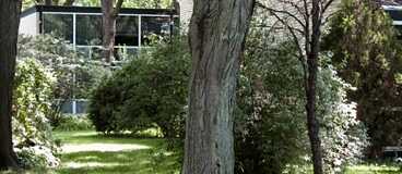 Lafayette Park