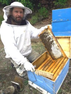 Ο Βασίλης κατά την παραγωγή μελιού