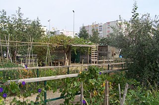 Les jardins de l'Oasis Rigaud à Valence