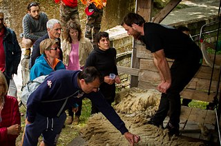 Échanges autour de la tonte
