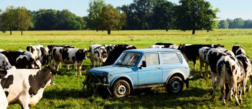 Гуд бай, Берлин