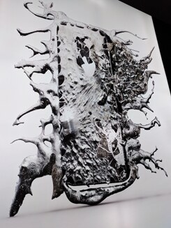 Protekto.x.x. 5.5.5.1.pcp 