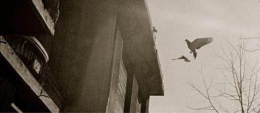 Дни убывающего света