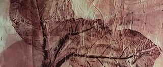 EcoPrint Slow Fashion Lab