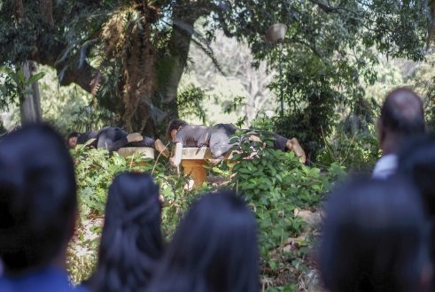 Four Seeds 4 - Fabien Prioville