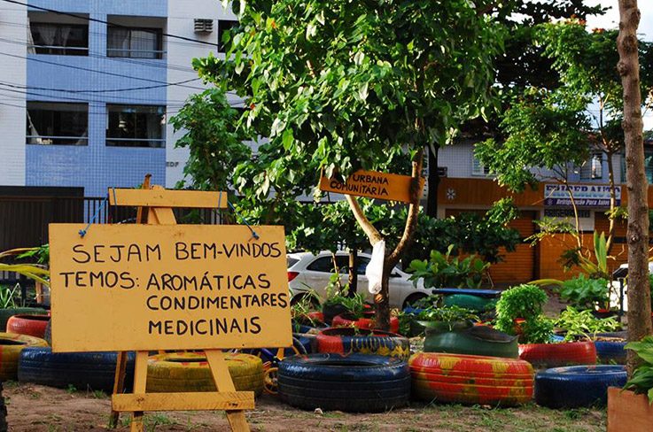 Welcome! We have aromatic herbs, spices and medicinal herbs.