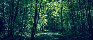 얀 코스틴 바그너 X 정유정