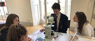 Experiment Wissenschaftsworkshop