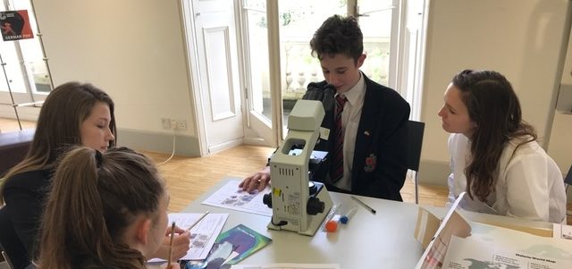 Experiment Wissenschaftsworkshop