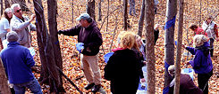 Volunteers painting one of several 1/3 mile Blued Trees measures, in Rensselaer County, New York.