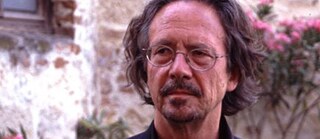 Foto Der schwermütige Spieler