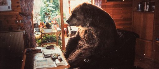 Bear (Bär) © Pascal Floerks