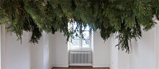 Photo d'une installation artistique. Une chambre dont le plafond est couvert de branches de sapin.