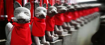 PASCH Instagram Fotoworkshop