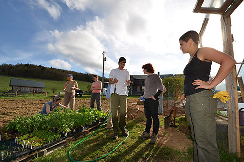 AMI Farm Fellows from the 2012 cohort working on the Allegheny Mountain Farm campus.