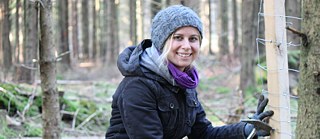 Lena Gärtner beim Zaunbau im Spessart