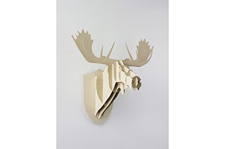 Big-Game, Moose, 2004 © ifa