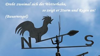 Thema „Wetter“ 