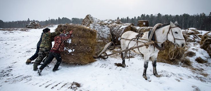 Deutsche Minderheit in Litkowa, Sibirien