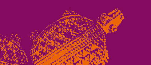 Deutsch lernen im Museum