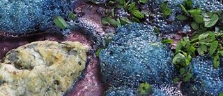 IKAT/eCUT_Slow Fashion LAB