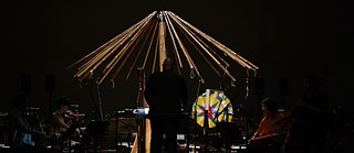 arvore_elastica1 &copy; © Lawrence Stanley arvore_elastica1