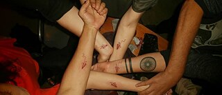 Tatu