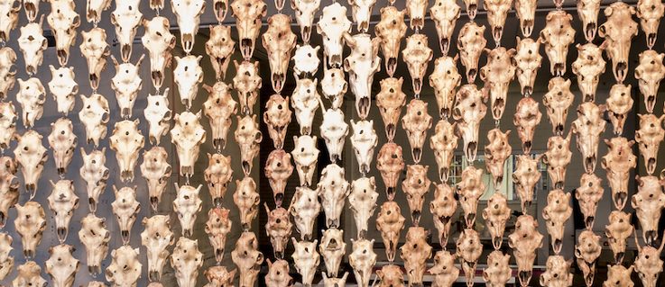 Máret Ánne Sara, Pile o’ Sápmi, 2017