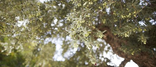 Para quê Religião?