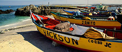 Typical Chilean fishing boats.