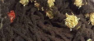 Slow Fashion Lab - ART YARN