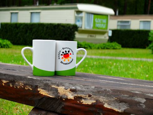 PASCH-Sommercamp 2017 II