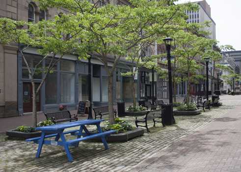 Anna Leonowens Gallery
