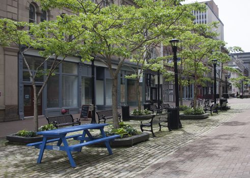 Anna Leonowens Gallery