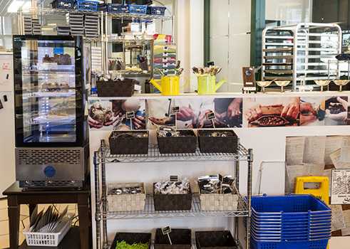 At the chocolate factory "Stubbe Chocolates"