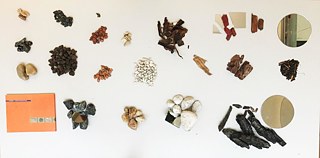 Material Collection