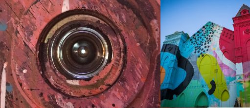 © Goethe-Institut Washington, Stella Christiansen; Blind Whino © Dakota Fine