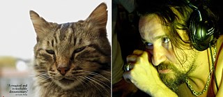 Kedi © Oscilloscope Pictures, Inc.; Crossing the Bridge Alexander Hacke © Goethe-Institut