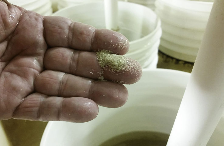 Used for promoting eyed larvae to attached on similarly sized micro-cultch for spat on tiny shell. These spats are typically sold to and used by farmers who are growing in bags, cages and racks, not those growing on water way bottoms.