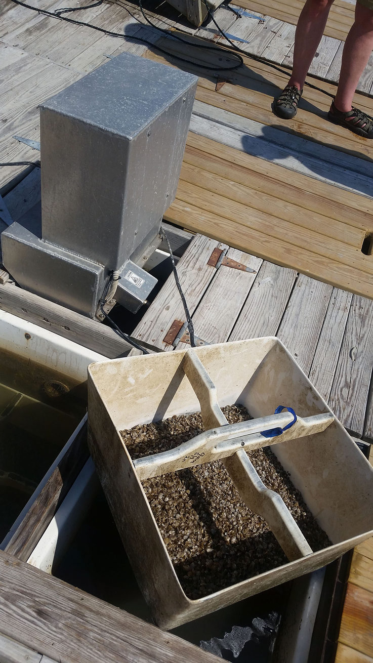 Fiberglass containers allow for easy moving and sorting.